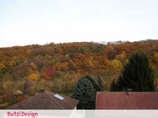 PA212829.jpg