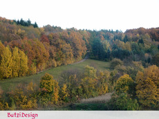 PA212830.jpg