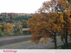 PA212831.jpg