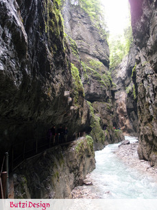 P5290792.jpg