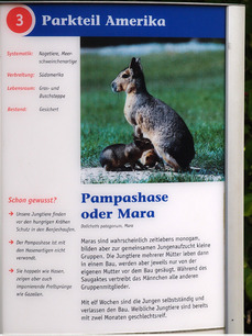 P7262526.jpg