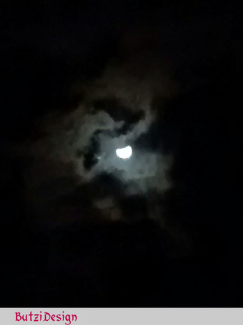 IMG_20150928_033542.jpg